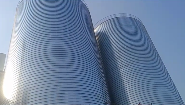 高平2座混凝土高架卷板仓